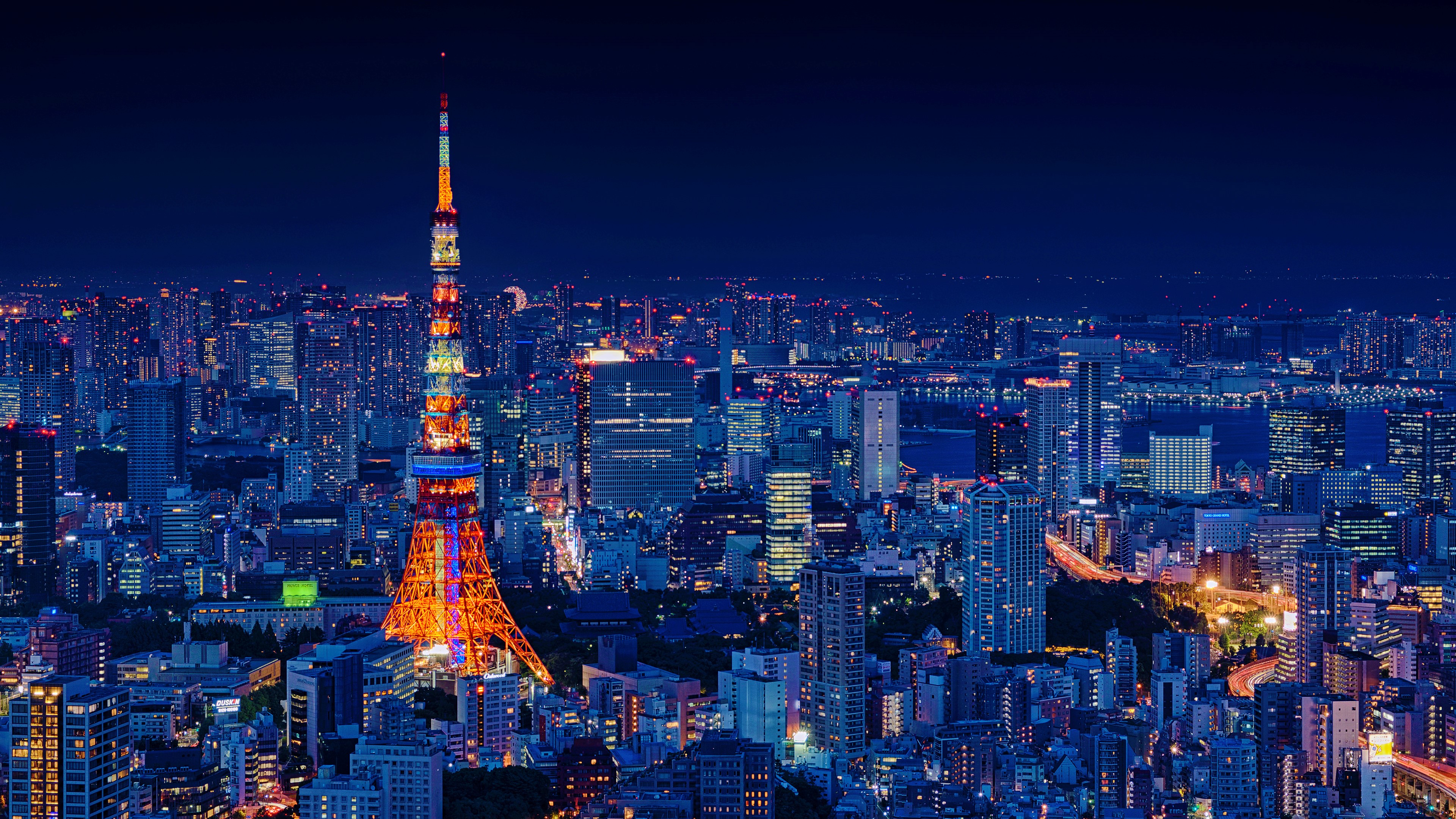 Tokyo Dedicated Server